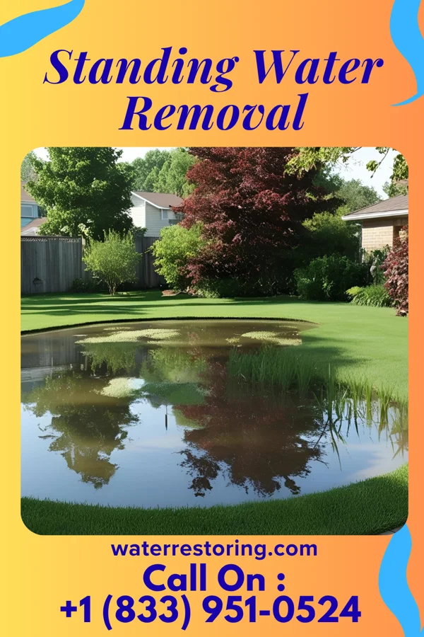 Standing Water Removal in Pearl River, MS